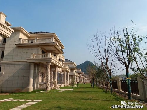 杭州桐庐《品庐东岸》江景别墅 ---【官方网站】