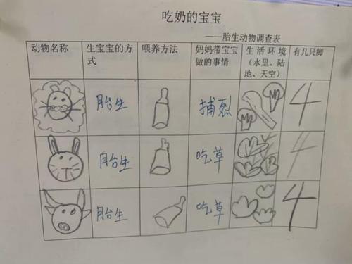 诺亚舟教育桐乡市庆安小牛津幼儿园大班组—动物世界真奇妙