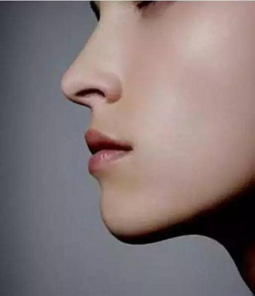 3,鼻直而肉薄露骨