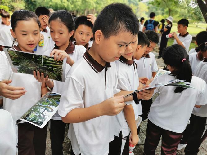 东华小学504班秋季研学纪念册 - 美篇