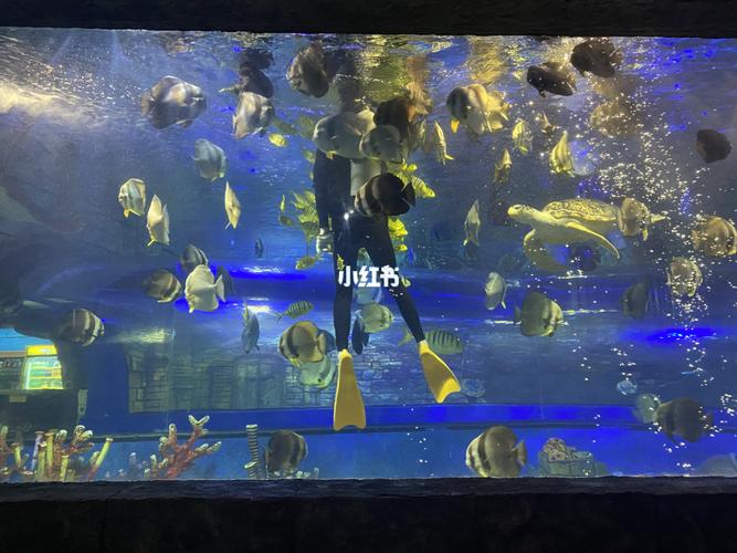 绍兴周边亲子游之镜湖湿地海洋世界_亲子游_小零食_小