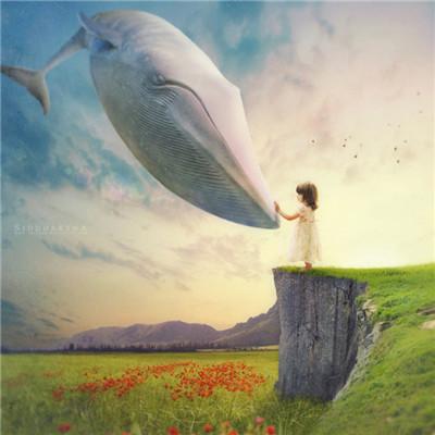 唯美空灵鲸鱼头像高清头像