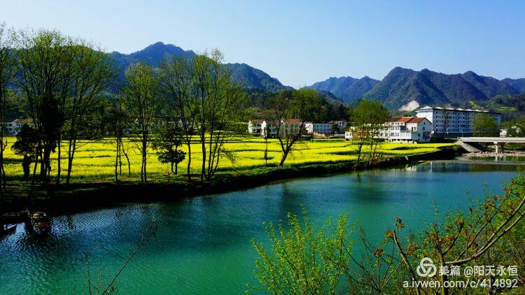 汉中勉县~元墩油菜花风景
