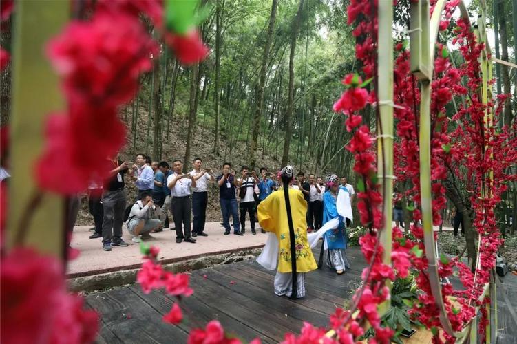 【游记】相约百里竹海,来一场康寿之旅!