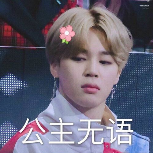 求公主无语的那个表情包!
