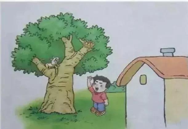 孩子看图写话不会写?7大口诀 10大句式 精选范文 强化
