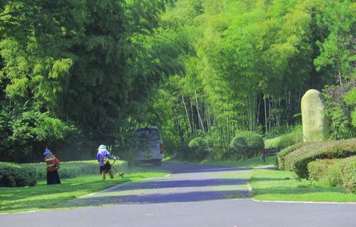 宜兴龙背山森林公园