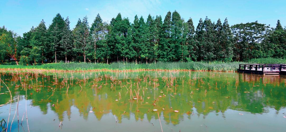 无锡渤公岛景区