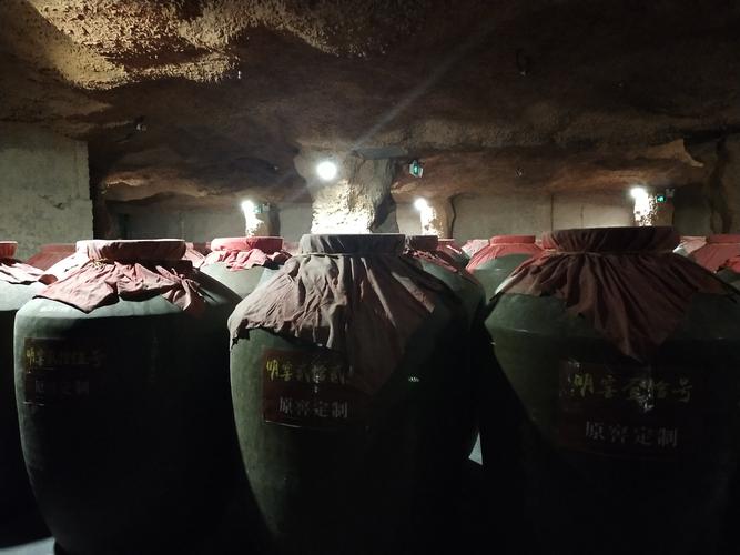 亳州古井酒厂参观