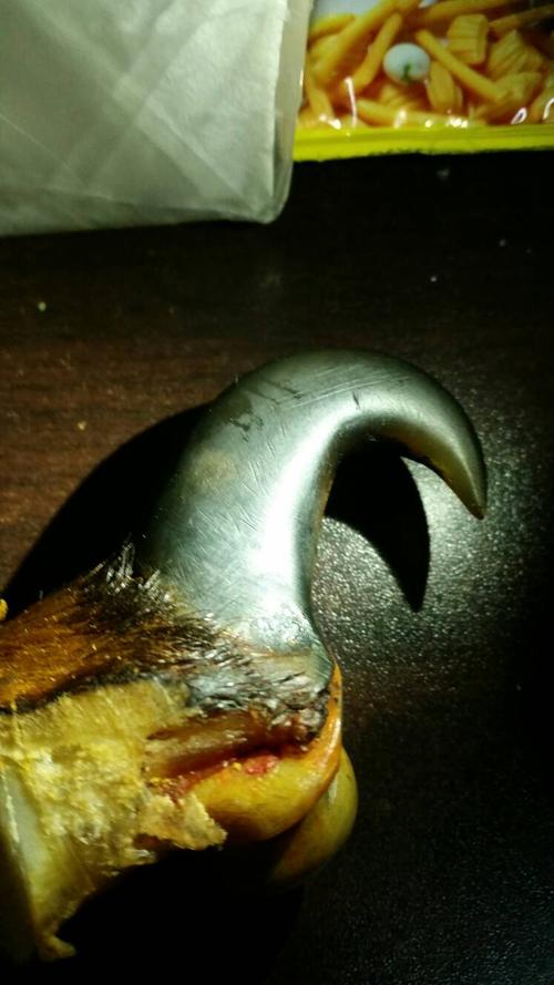 想知道这是什么动物的爪子?跪求大神解释下,还有几张图片发不出来啊.