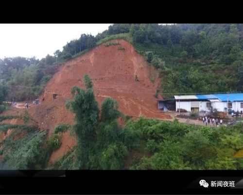 采访:凌云县加尤镇下伞村村民 李梦田