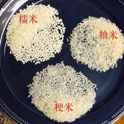 1, 籼米,粳米,糯米大不同 我们所常说的"大米",大概相当于"籼米,粳米