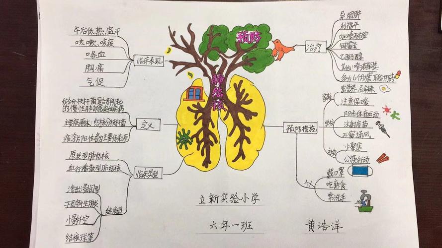 " 携手抗疫防痨,守护健康呼吸"手绘思维导图活动----立新实验小学