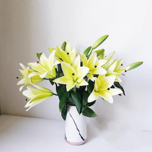 购客百合花鲜花直批百合新鲜家用水养黄天霸云南基地直发花束插黄色