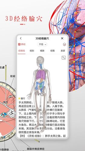3dbody解剖学下载