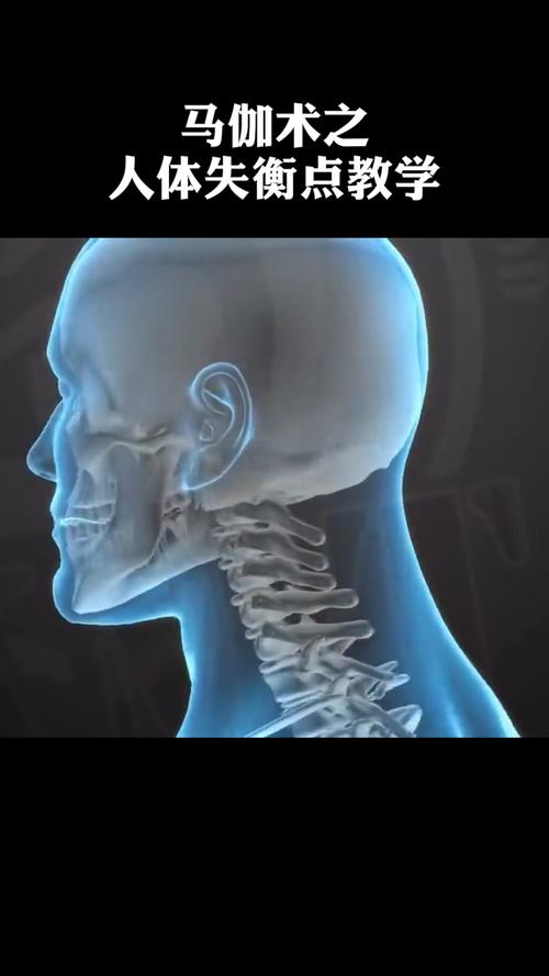 排名榜首的马伽术格斗技不是盖的,击人体痛点,失衡点