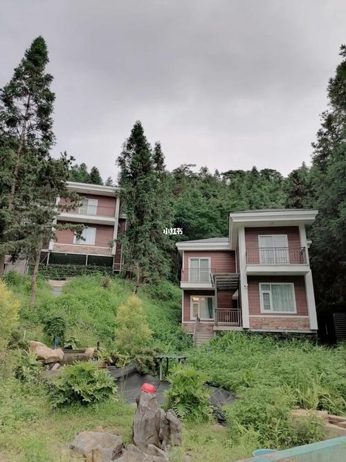 9999这是在从化吕田镇少有的一家高端民宿,民宿座落坐落在山里