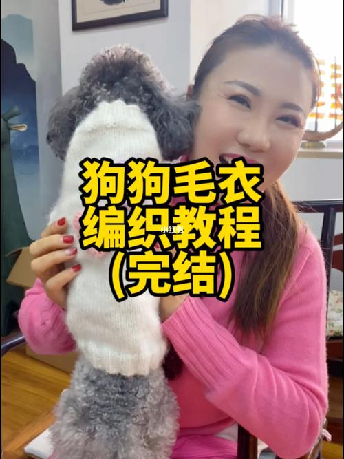 狗狗毛衣编织教程括号(完结)_教程_编织_毛衣_狗狗_宠物_泰迪_编织