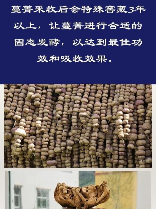 雪域蔓菁膏(藏族人长寿的秘诀)_排毒_大雪去哪玩_护肝_熬夜党_清热