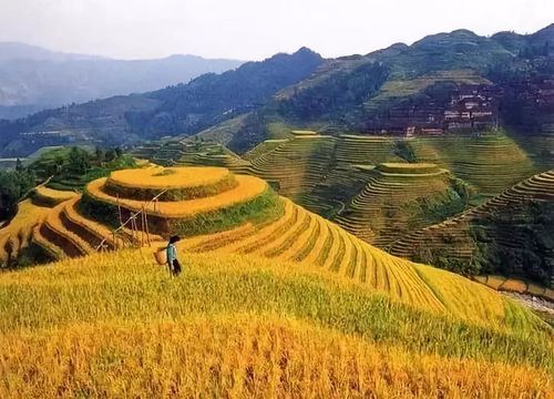 龙胜,已向全世界发出邀请!