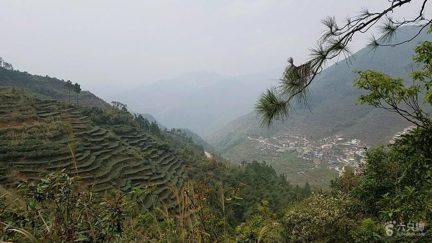 厦门同安:祥溪林场-美宫村-西坑穿越茶园-白交祠南-山
