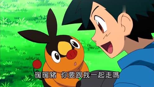 精灵宝可梦:他对小智和艾莉丝笑了笑,没想到暖暖猪选择的是小智