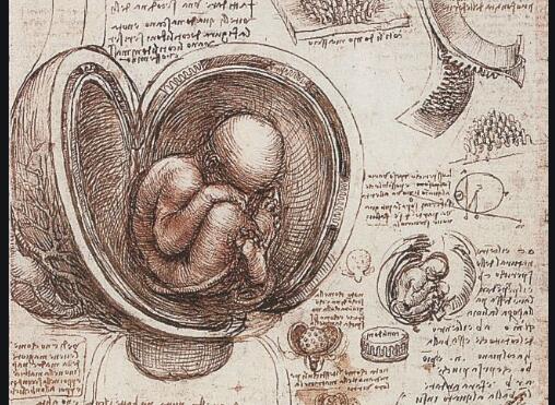 科学天才,达芬奇到最后只被人们知道是个画鸡蛋的,其实他远没有这么