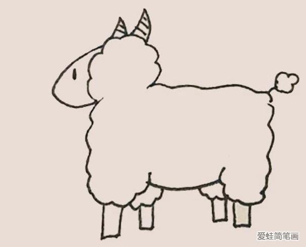 简笔画之绵羊