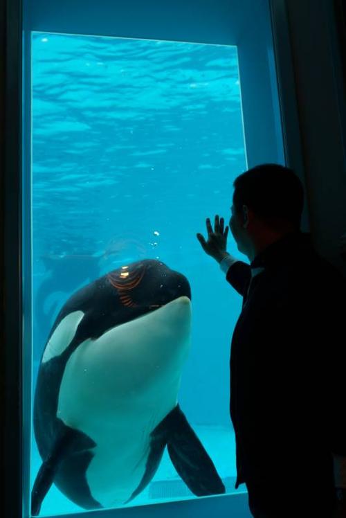 正佳极地海洋世界——世界的海洋馆