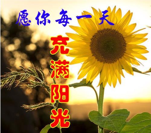 中老年人微信头像大全