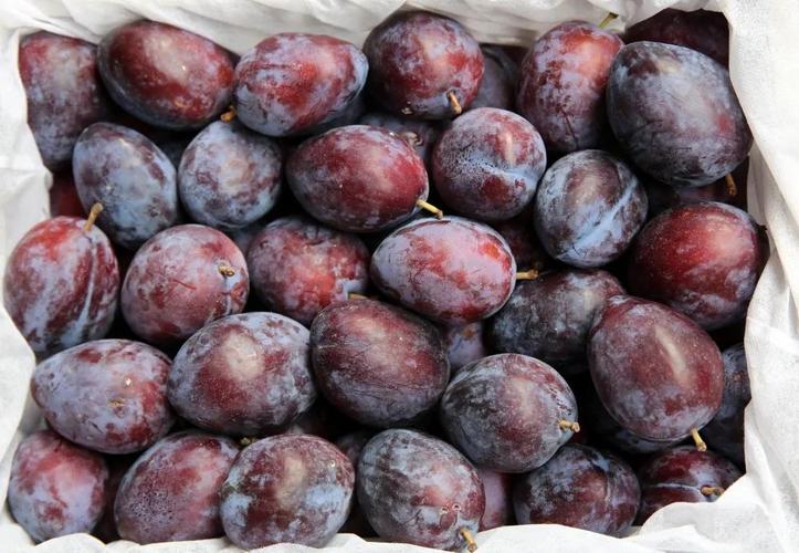 品西域甜蜜,西梅批量上市啦!