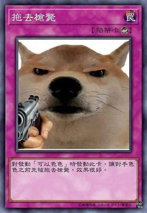 表情包|沙雕表情包 1424期