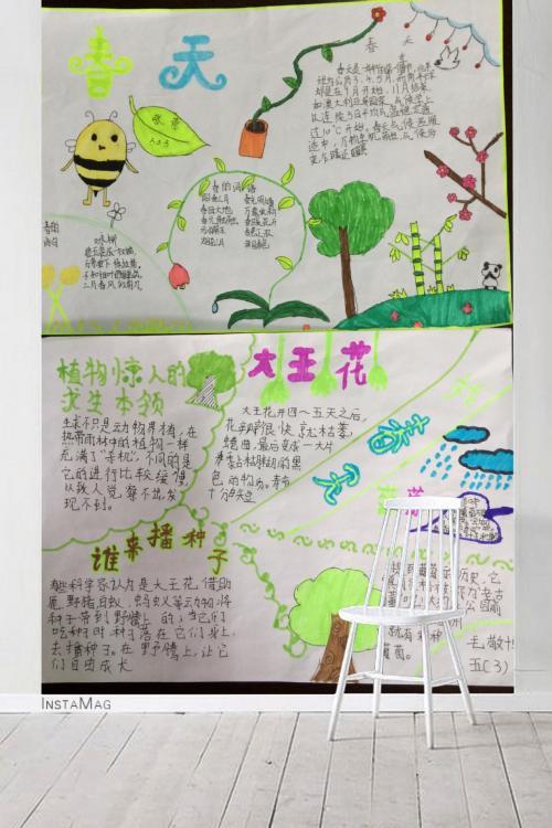 追逐春天的气息手抄报 春天的手抄报