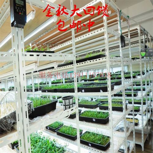 组织培养架植物组培架光照培养架实验室组培架子led光高低可调