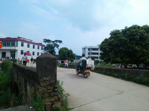  p>大布镇,广东省 a target="_blank" href="/item/韶关市/2553916"