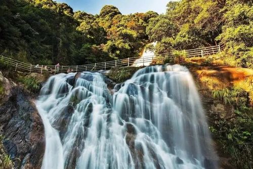 梁野山梁坐落于闽,粤,赣结合部的武平县境内,最高峰梁山顶古母石