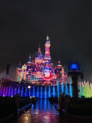上海迪士尼乐园暴雨之游_迪士尼怎么样_烟花_后怎么样