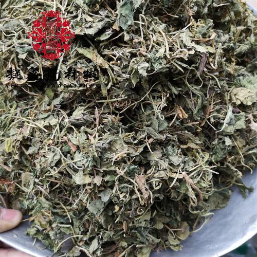 紫花地丁 苦地丁统段 产地 山东省
