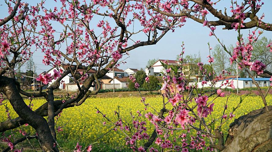 行香子·树绕村庄 秦观(宋)