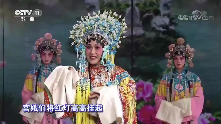 豫剧《打金枝》刘忠河出台演唱