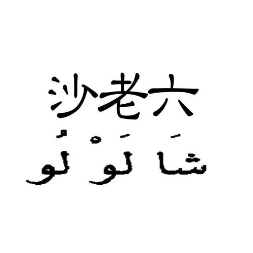 沙老六