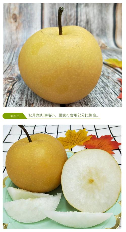山东正宗秋月梨羊脂香梨子发5斤新鲜水果莱阳冰糖当季整箱原产地 4.