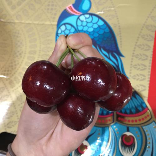 智力"孔雀开屏"双j 车厘子 品质极好～口感棒 天天吃车厘子怎么都吃不