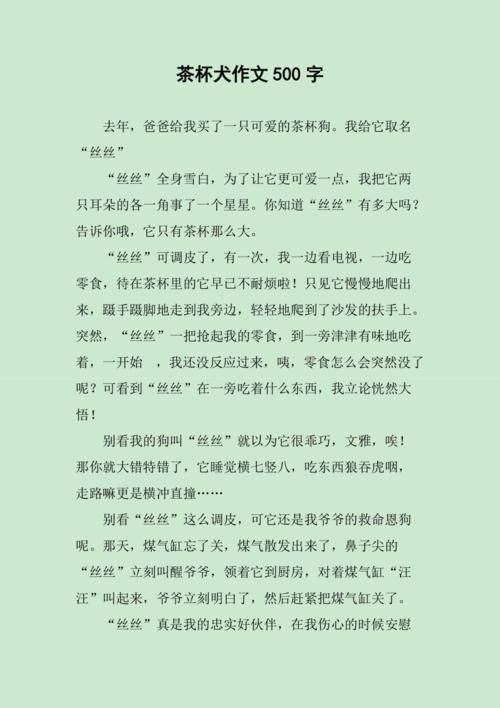 茶杯犬作文500字