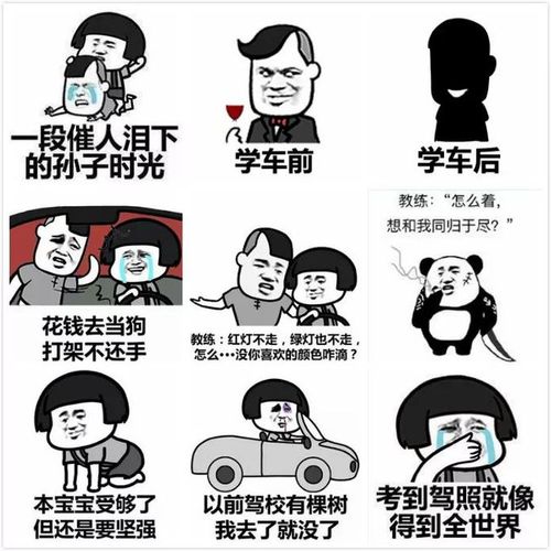 驾驶证|机动车|交管|驾考_网易订阅