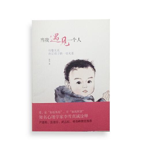 正版现货 当我遇见一个人 李雪著 北京联合出版公司 亲子家教