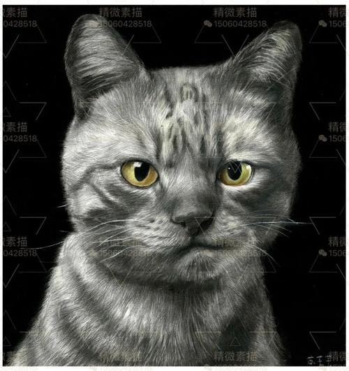 精微素描临摹卡