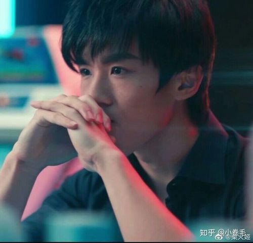 老番茄