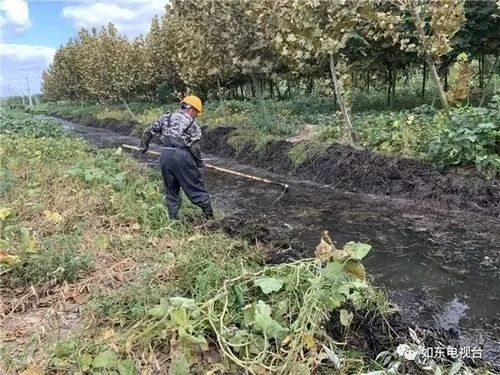 对 21条黑臭河进行全面整治 预计到本月底 在位于曹埠镇甜水村的一处