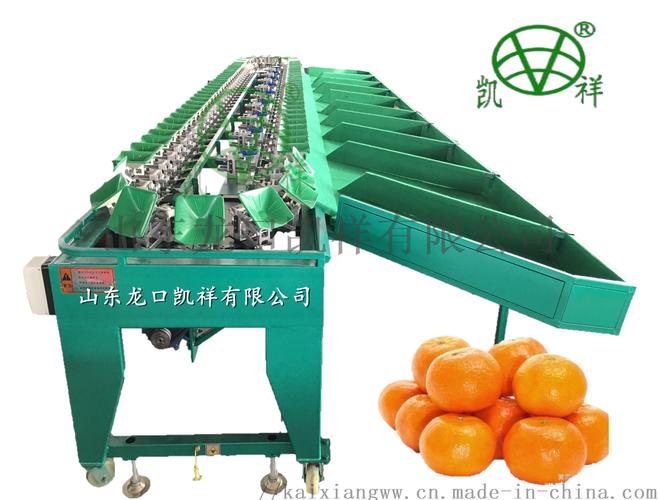 柑橘称重式自动选果机 凯祥选果机 新品选果机